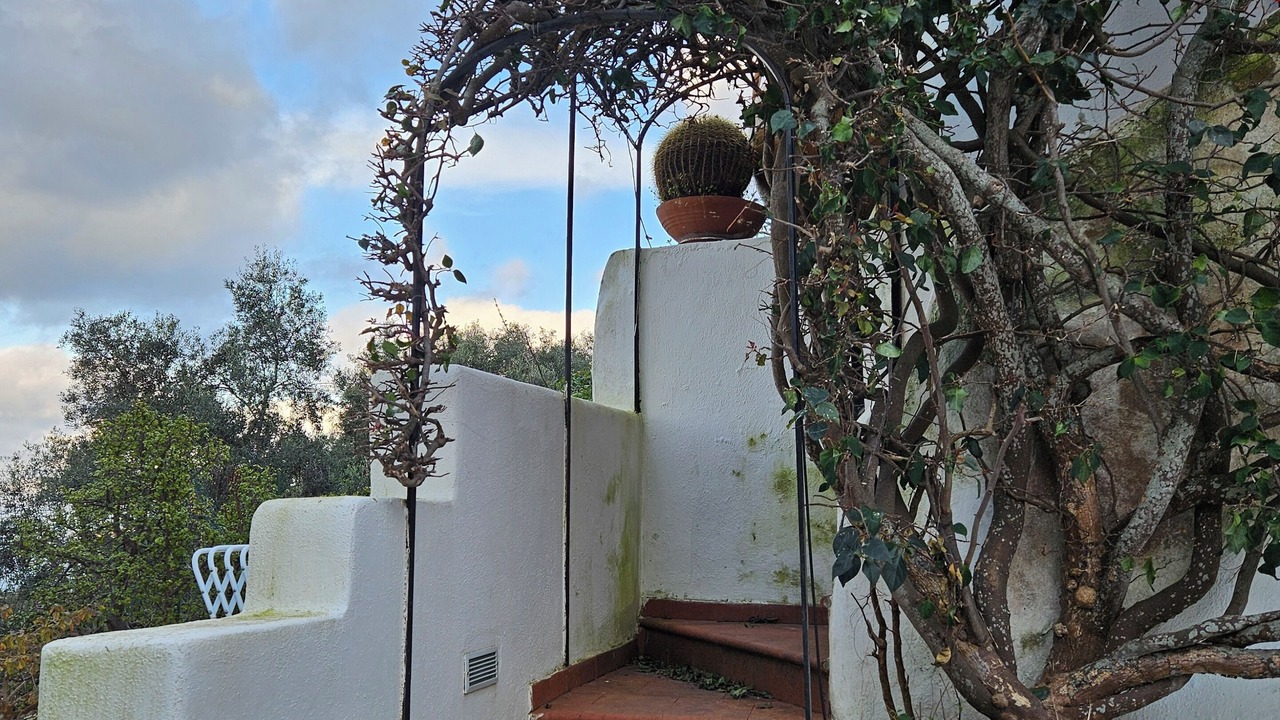 Photo of Outdoor in Casamicciola Terme