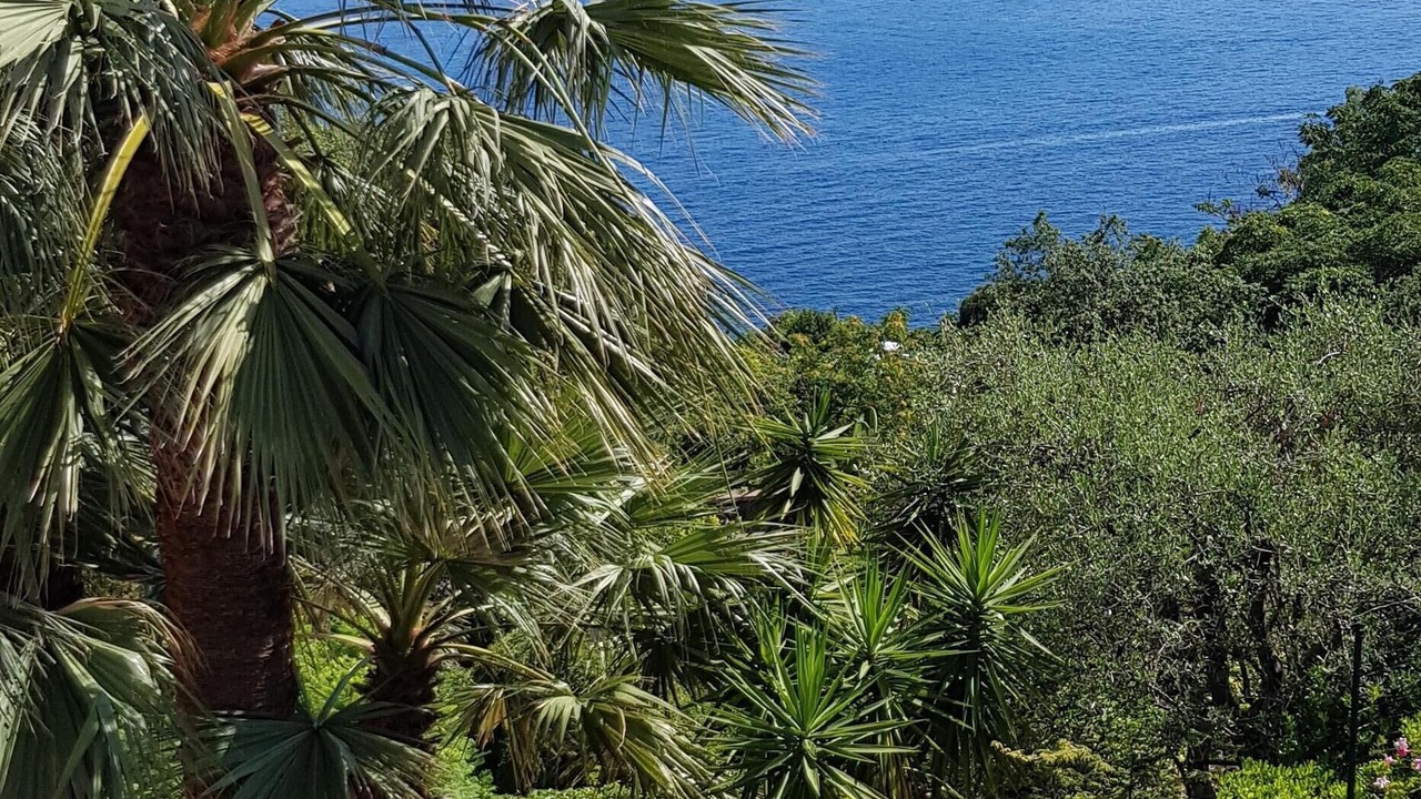 Photo of Outdoor in Casamicciola Terme