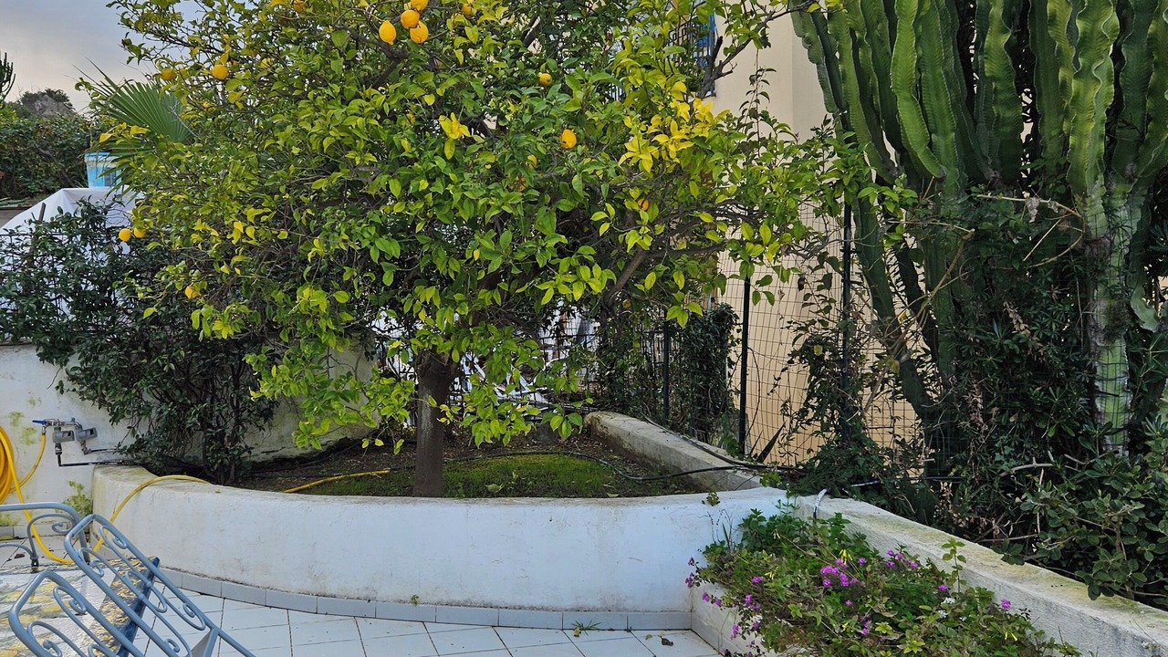 Photo of Patio Balcony in Casamicciola Terme