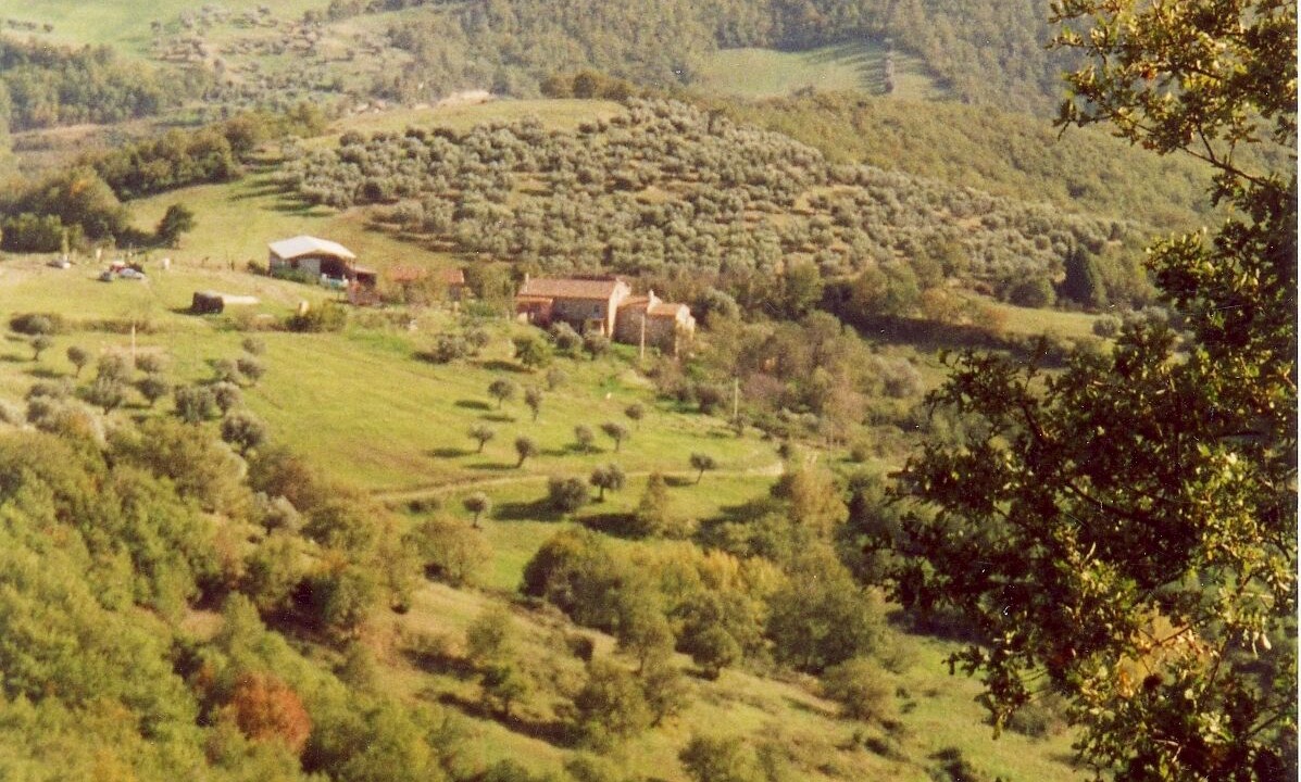 Photo of Outdoor in Collesanto