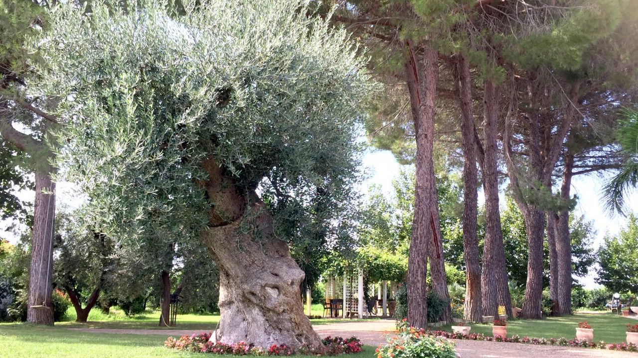 Photo of Outdoor in Ginosa