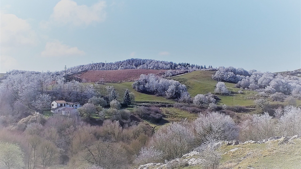 Photo of Outdoor in Arcidosso