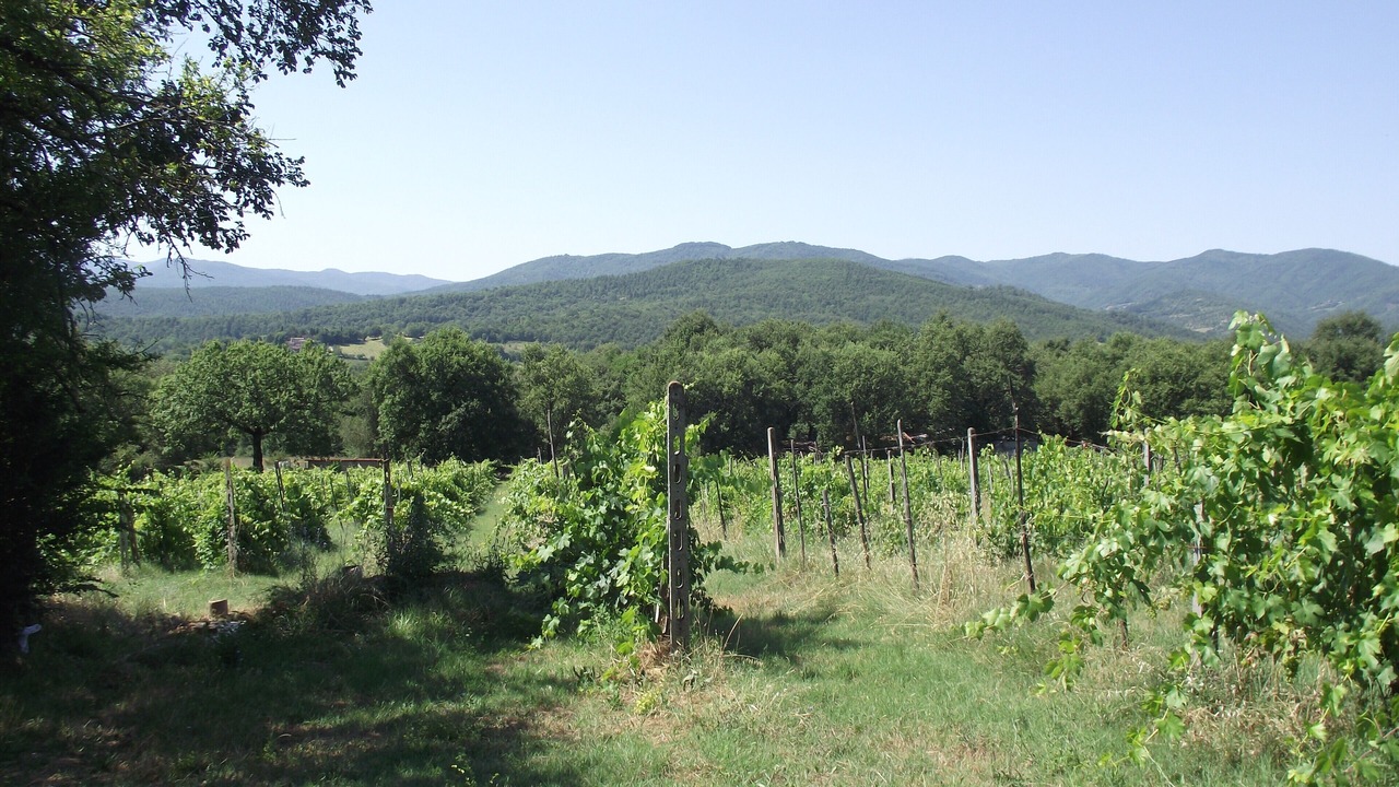 Photo of Outdoor in Anghiari