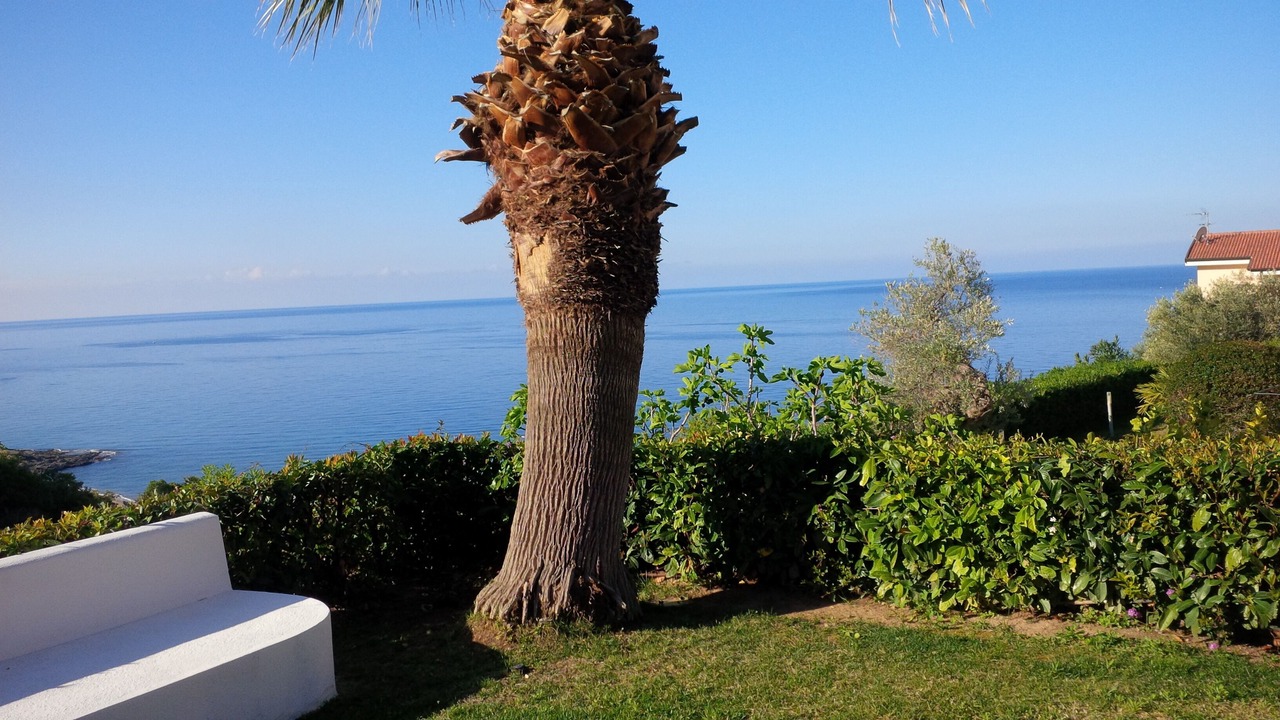 Photo of Outdoor in Diamante