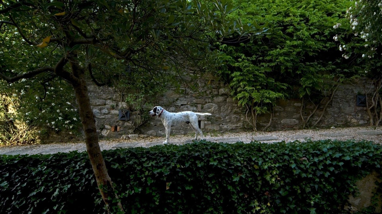 Photo of Outdoor in Loreto