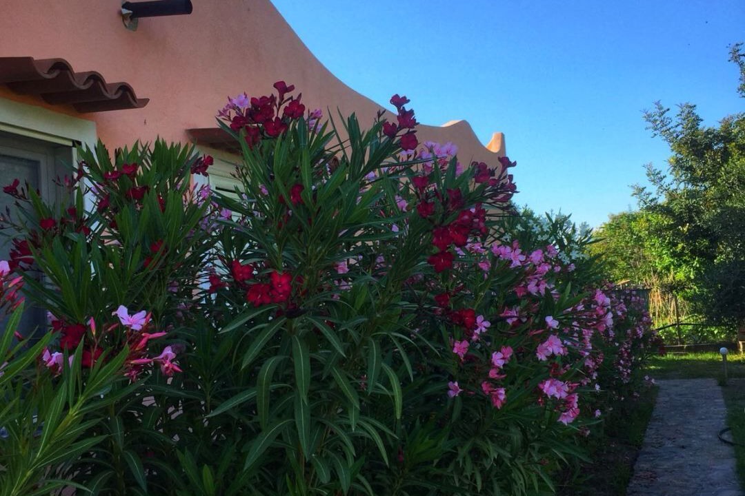 Photo of Outdoor in Diamante