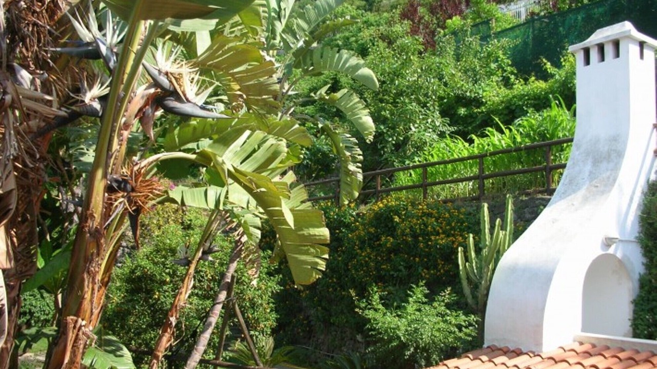 Photo of Outdoor in Casamicciola Terme