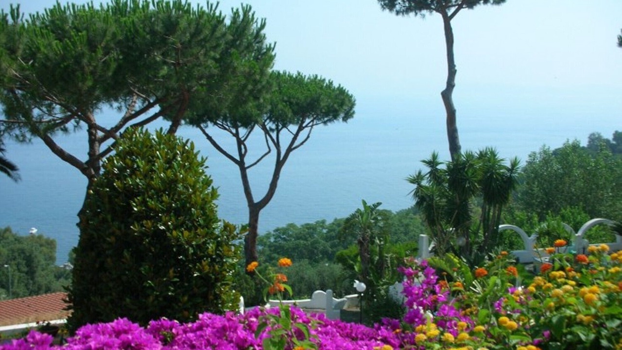Photo of Outdoor in Casamicciola Terme