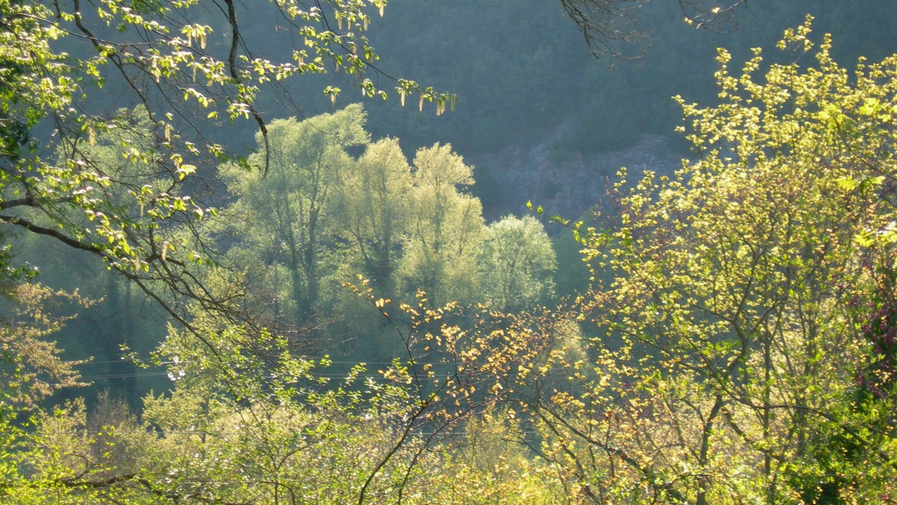 Photo of Outdoor in Sant'Anatolia di Narco