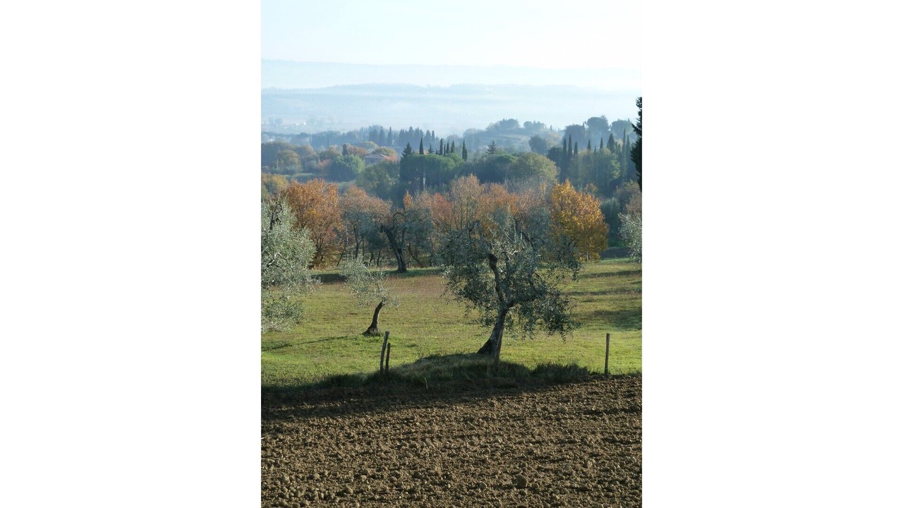 Photo of Outdoor in Cetona