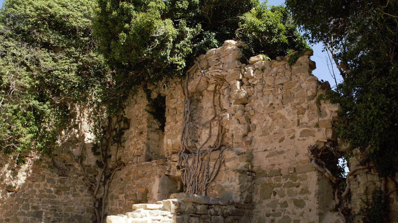 Photo of Others in Gualdo Cattaneo