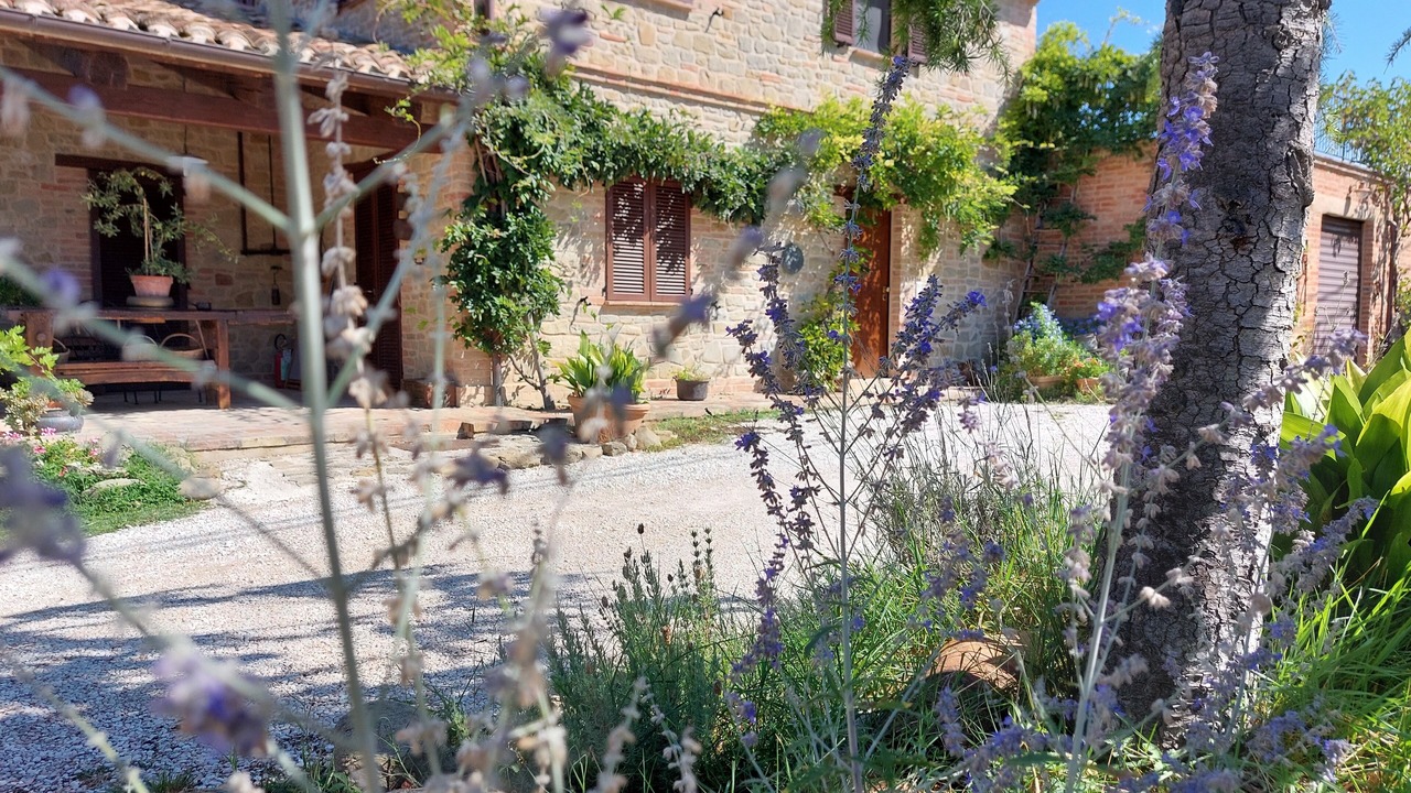 Photo of Outdoor in SantʼAngelo in Pontano