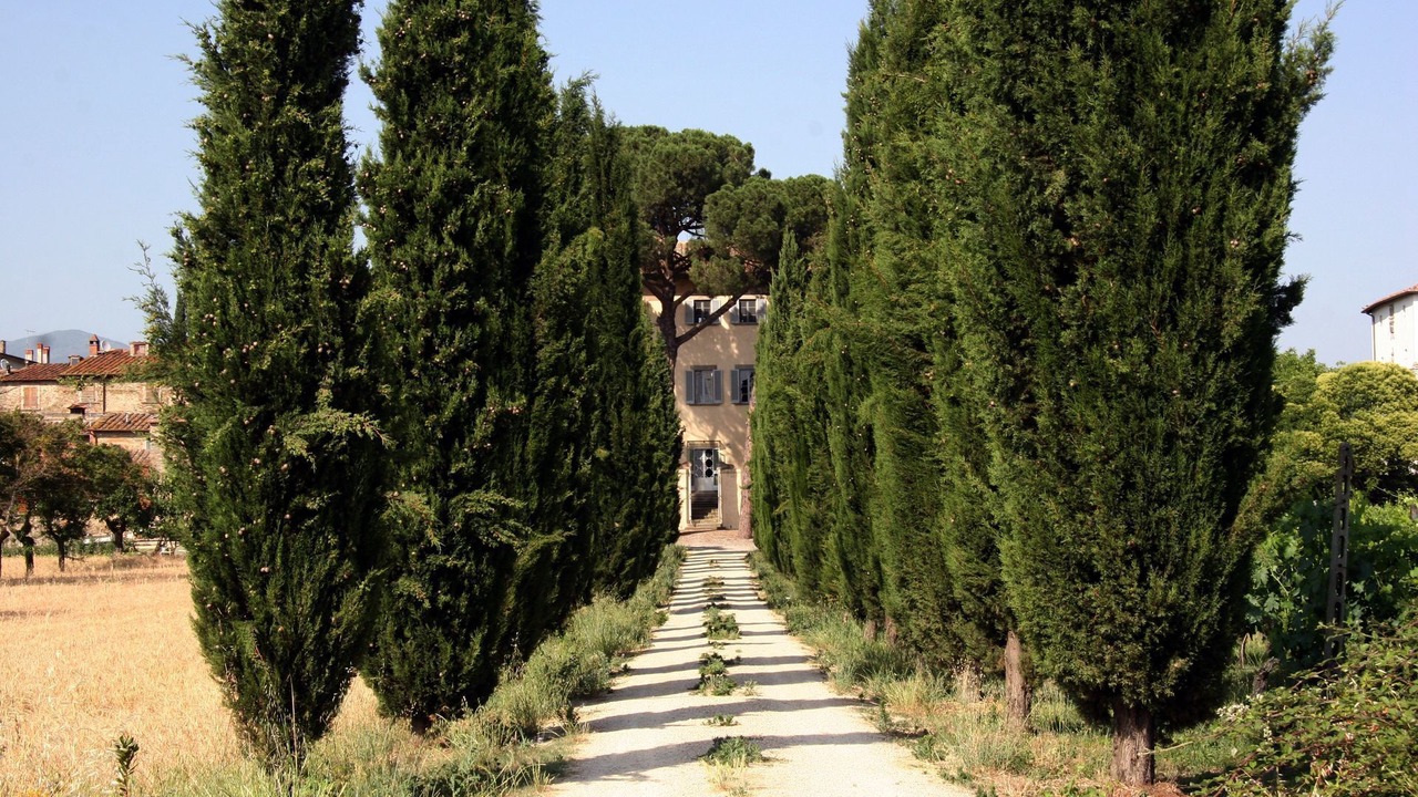 Photo of Outdoor in Giovi-Ponte Alla Chiassa
