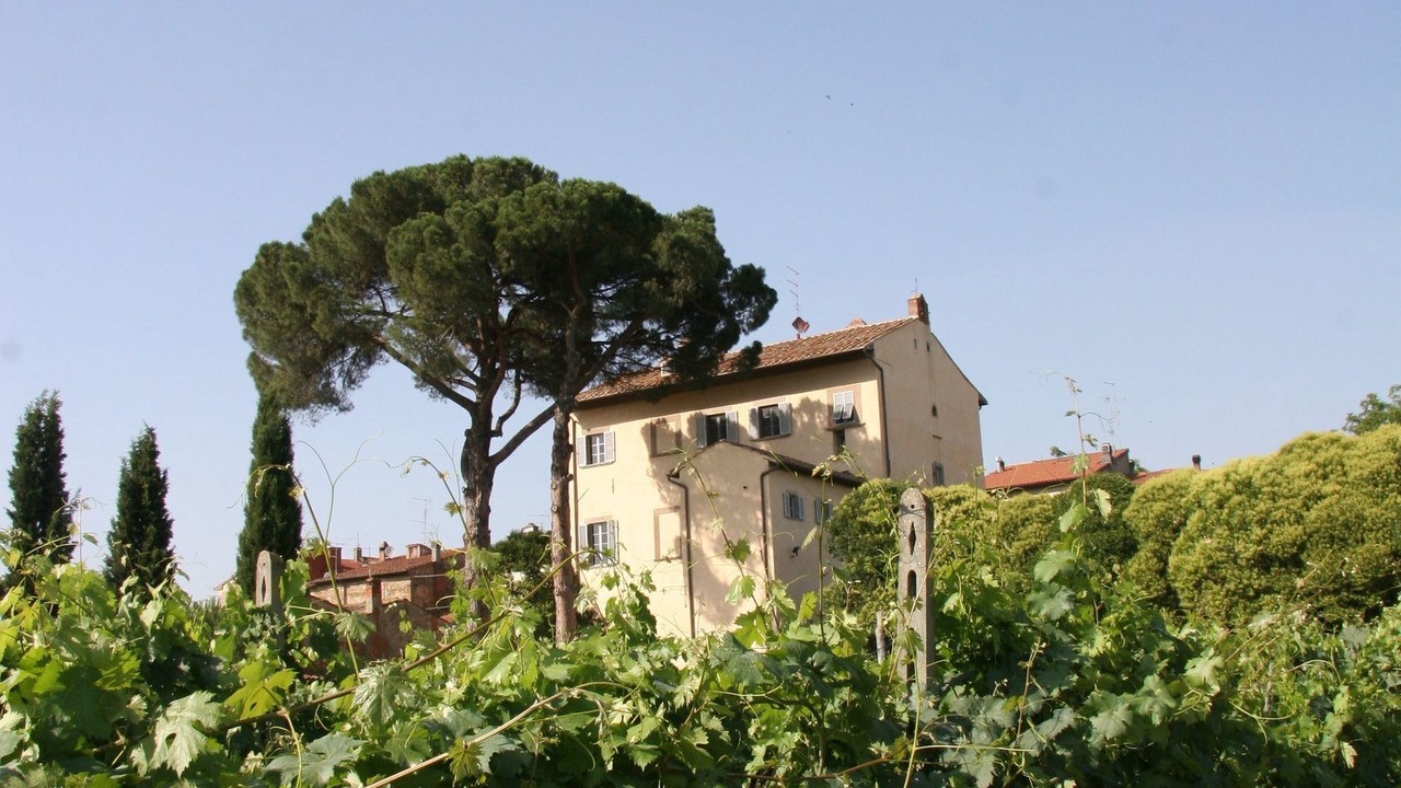 Photo of Others in Giovi-Ponte Alla Chiassa