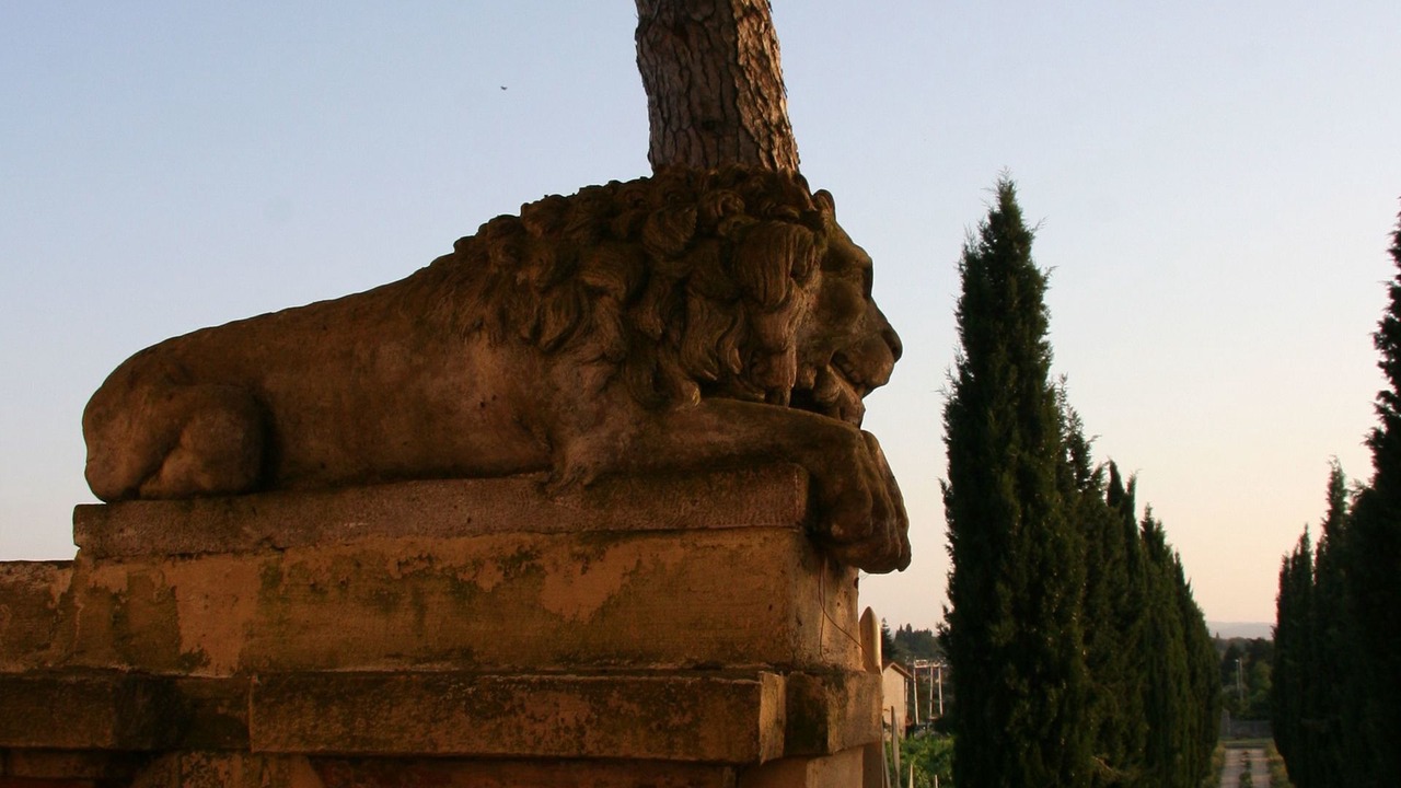 Photo of Others in Giovi-Ponte Alla Chiassa