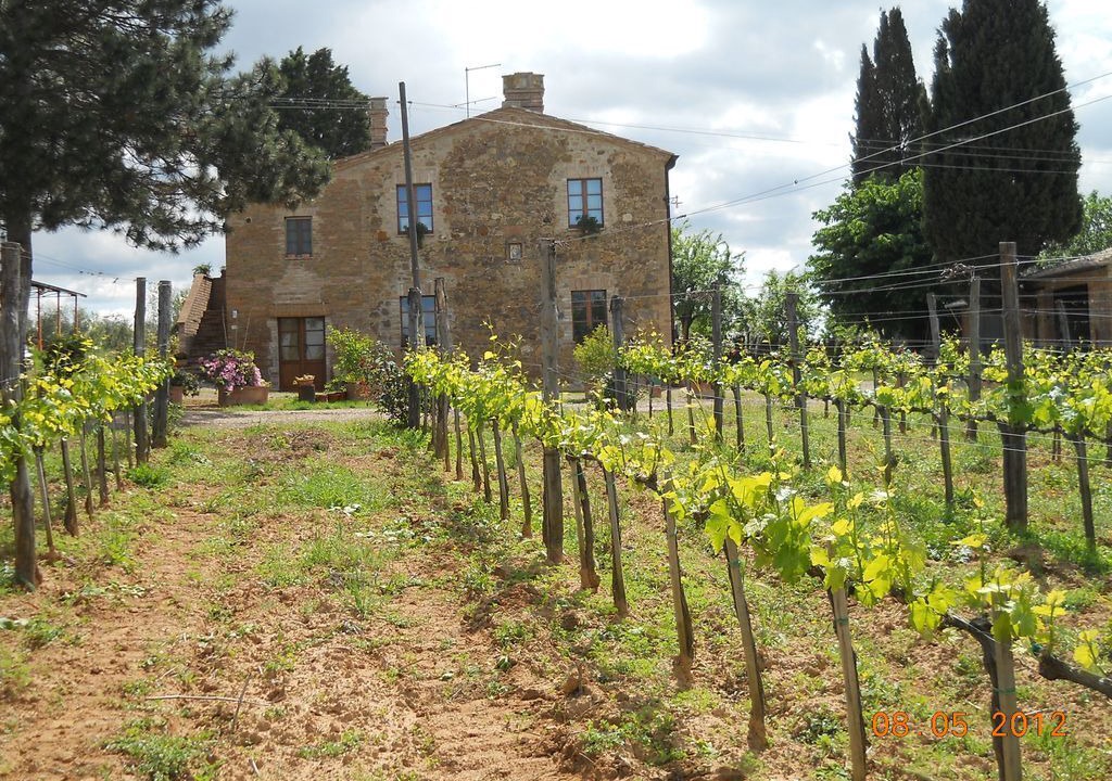 Photo of Outdoor in San Quirico d'Orcia