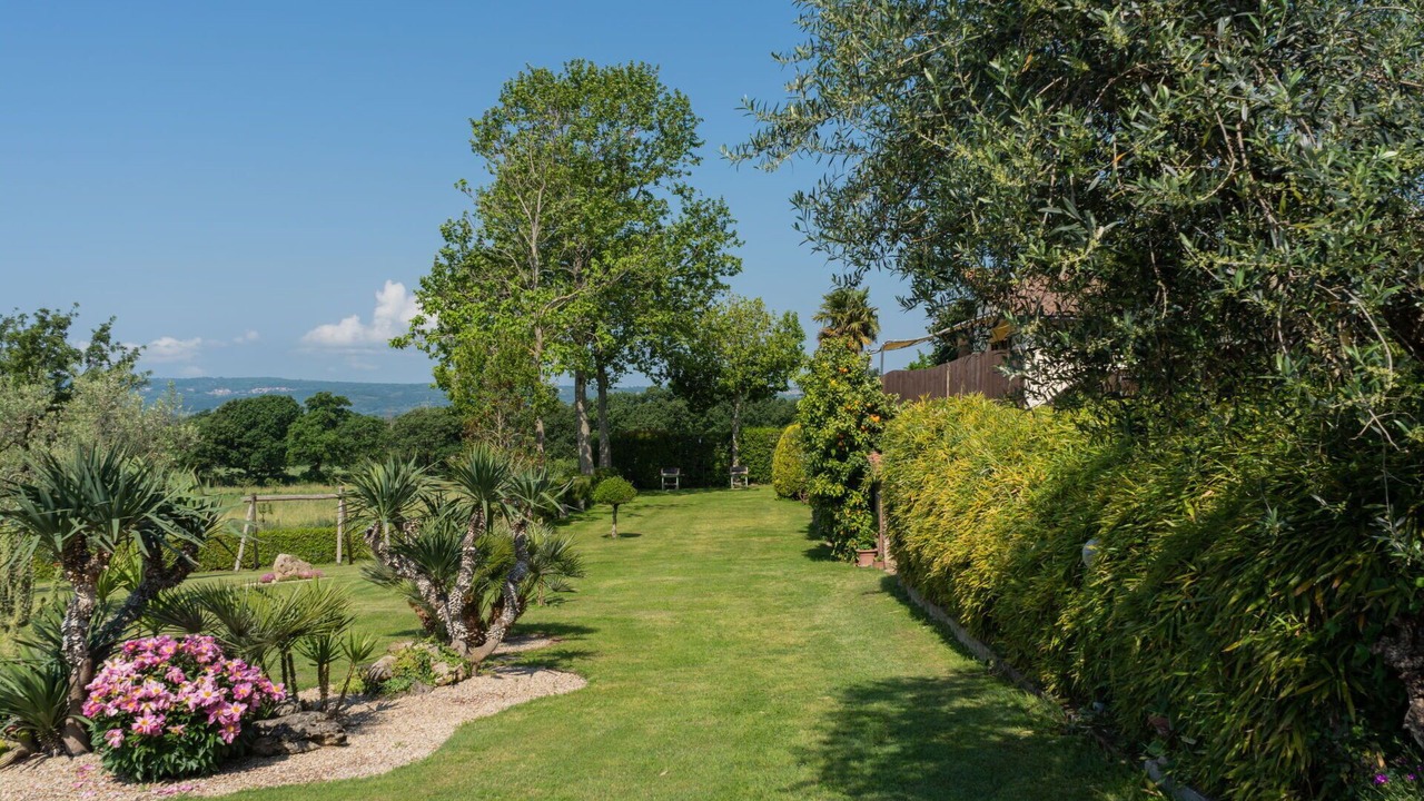 Photo of Others in Bolsena