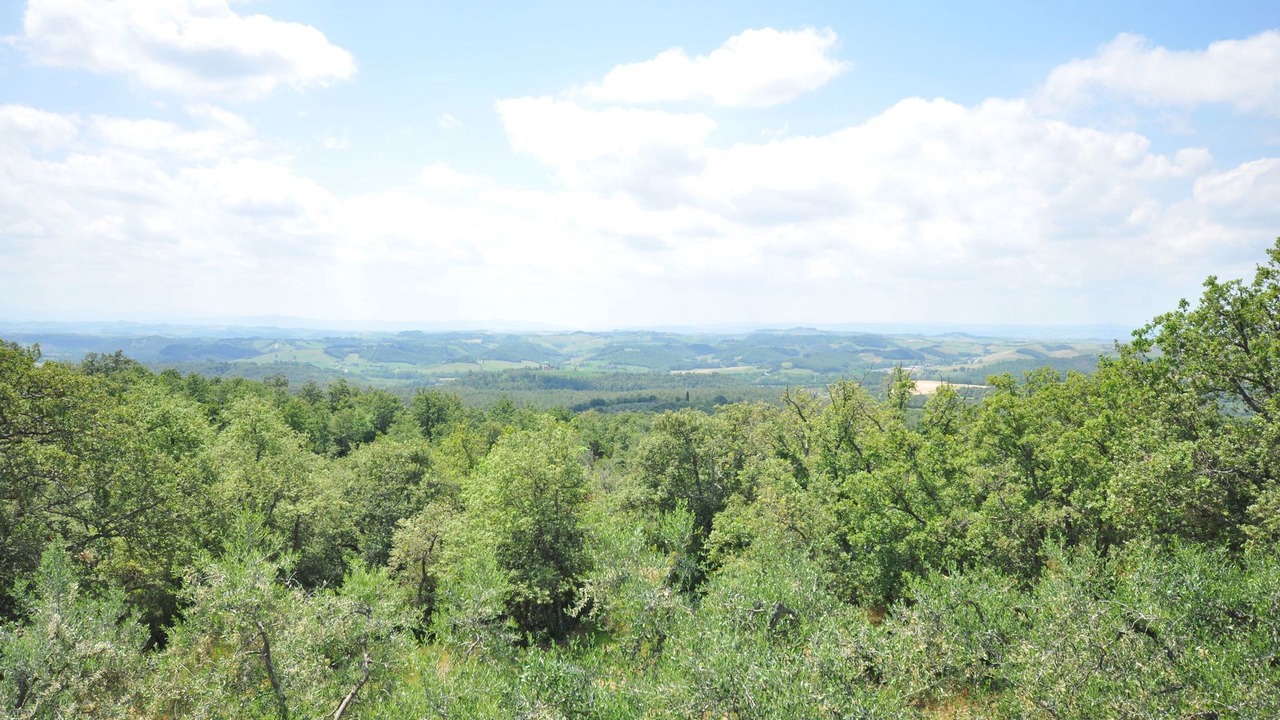 Photo of Others in Castelnuovo Berardenga