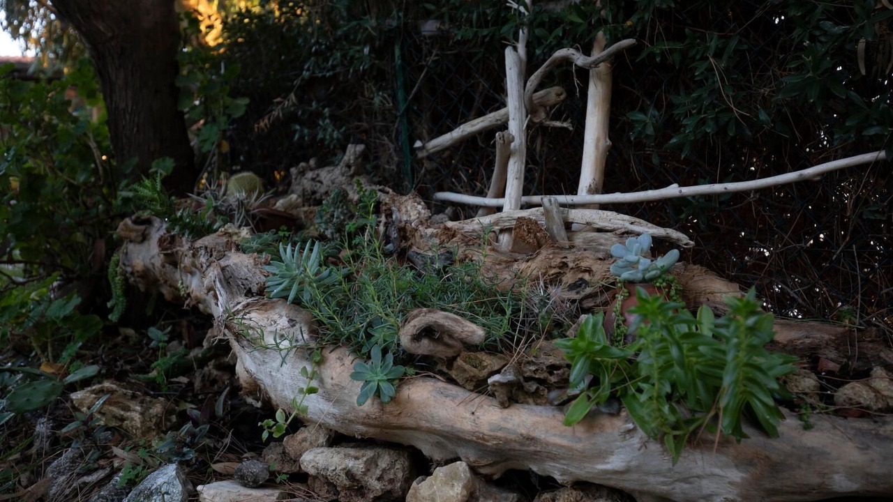 Photo of Outdoor in Joppolo