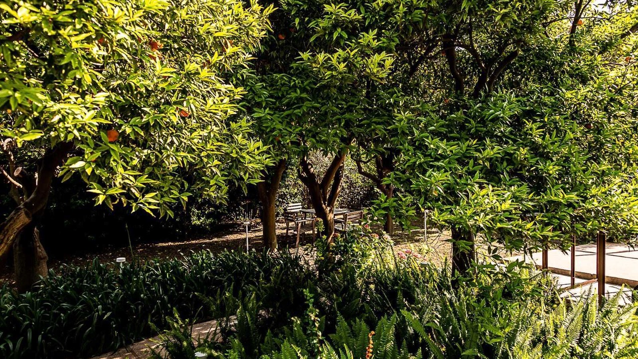 Photo of Outdoor in Chiaia