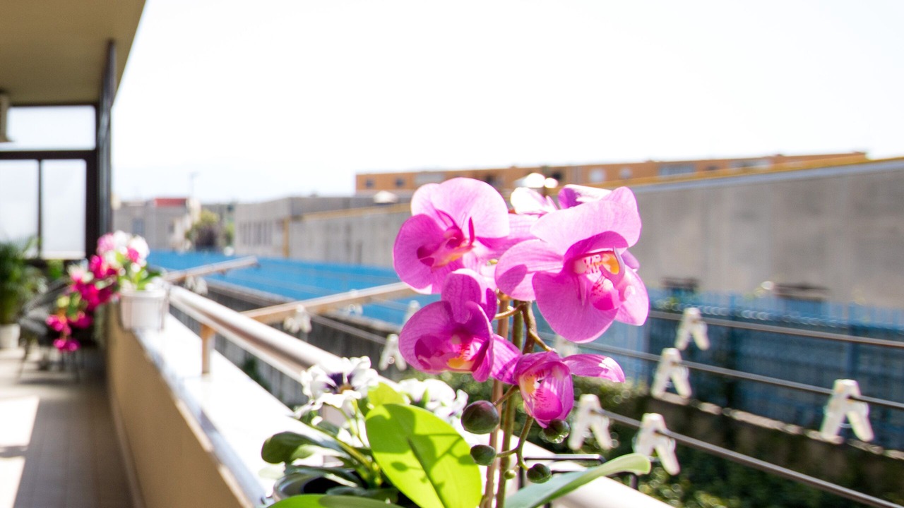 Photo of Outdoor in San Vitaliano