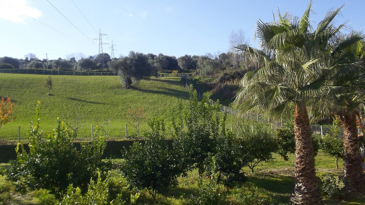 Photo of Outdoor in Pizzo