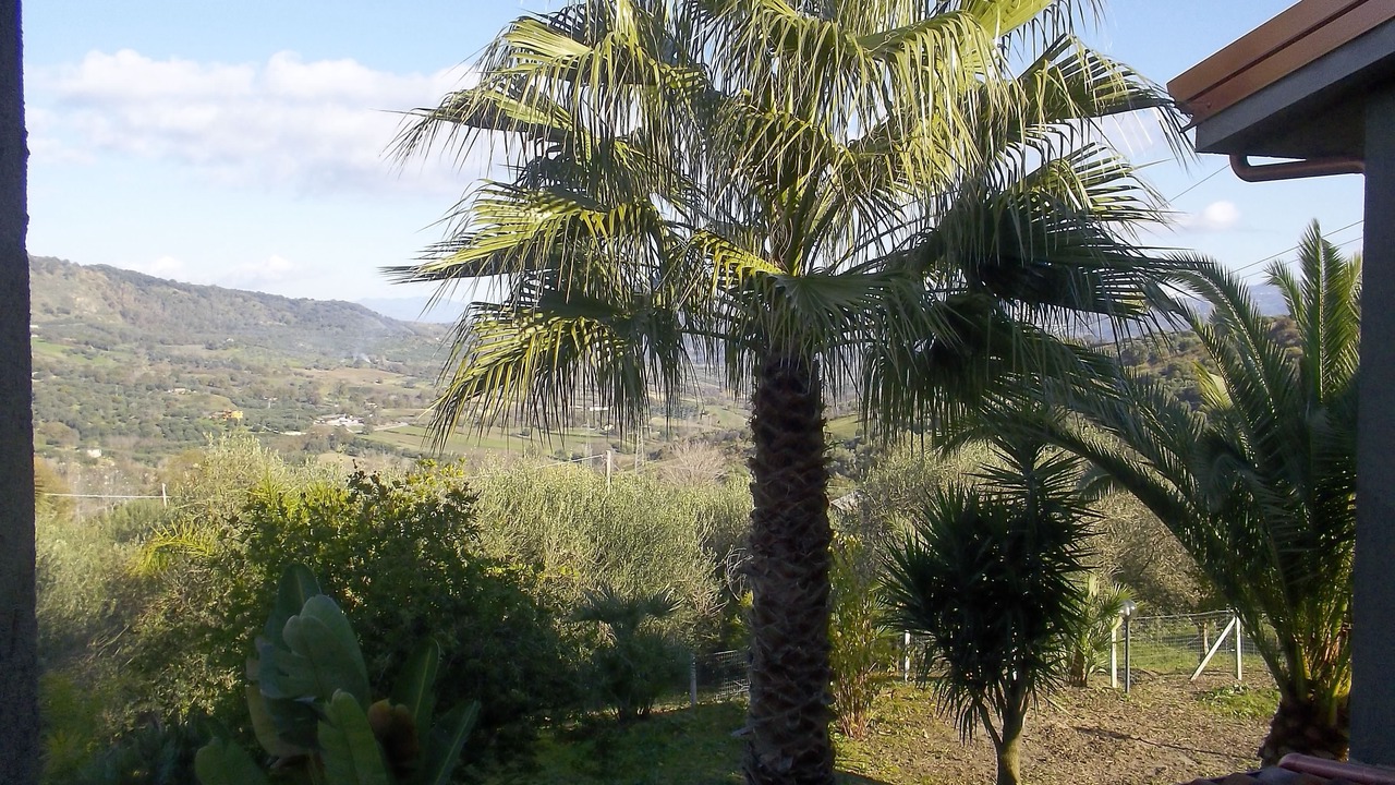 Photo of Outdoor in Pizzo