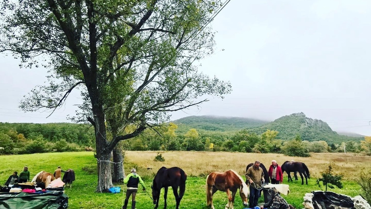 Photo of Others in Lettopalena