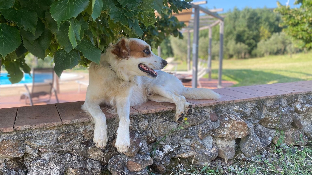 Photo of Outdoor in Girifalco