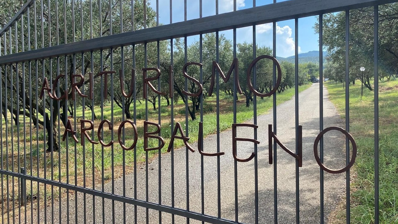 Photo of Outdoor in Girifalco