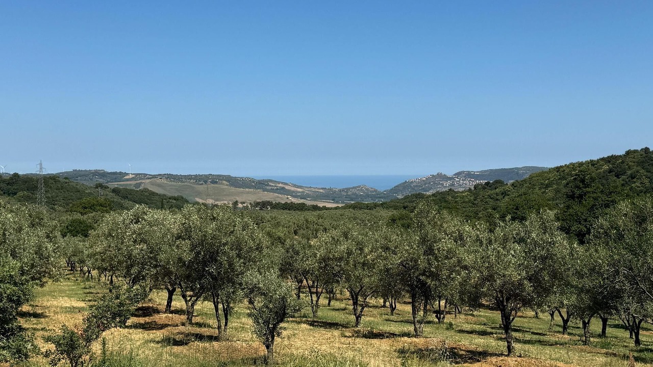 Photo of Others in Girifalco