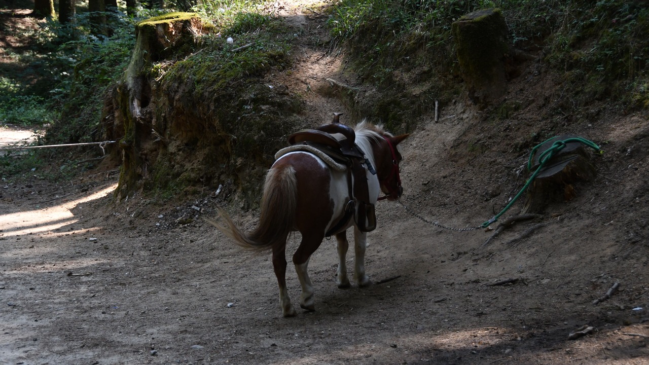 Photo of Outdoor in Catanzaro