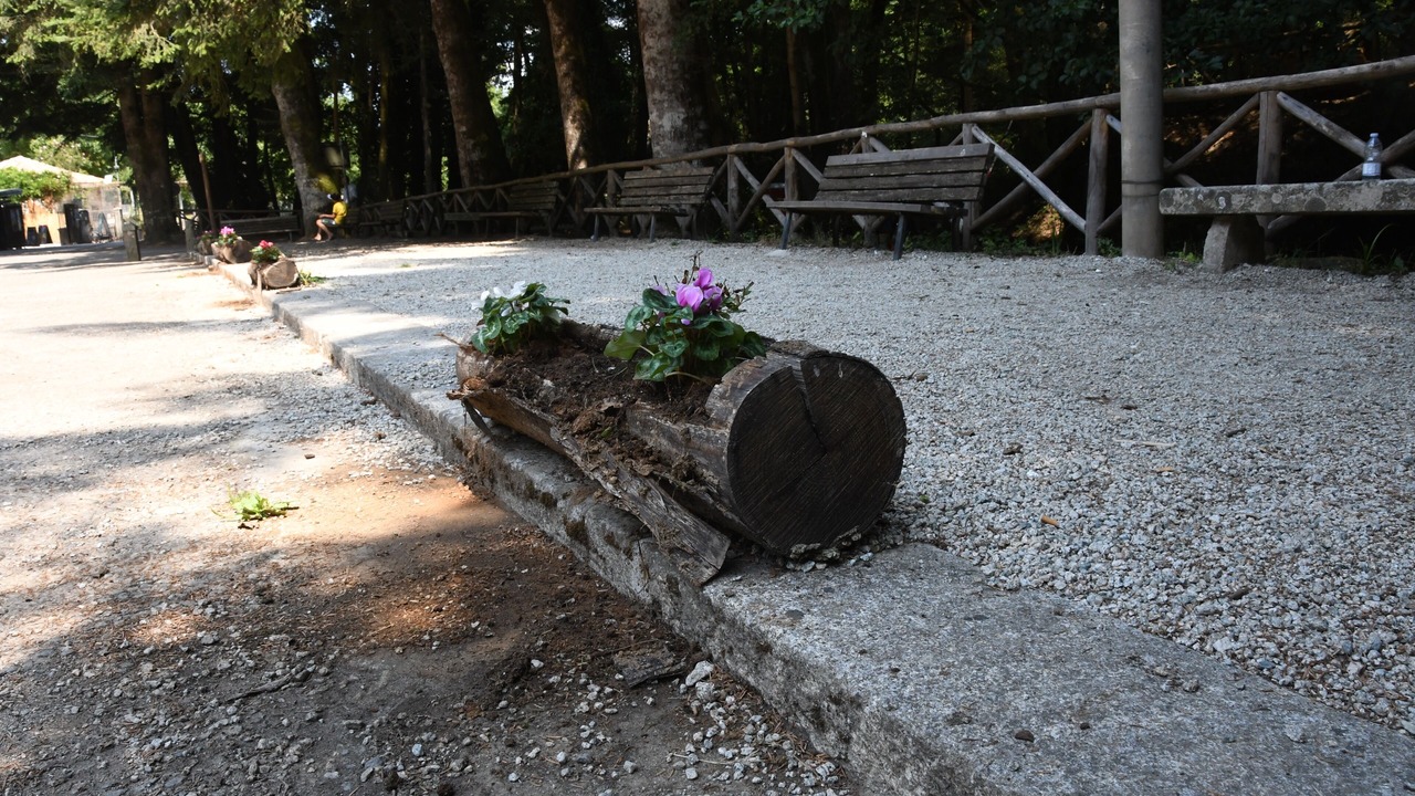 Photo of Outdoor in Catanzaro
