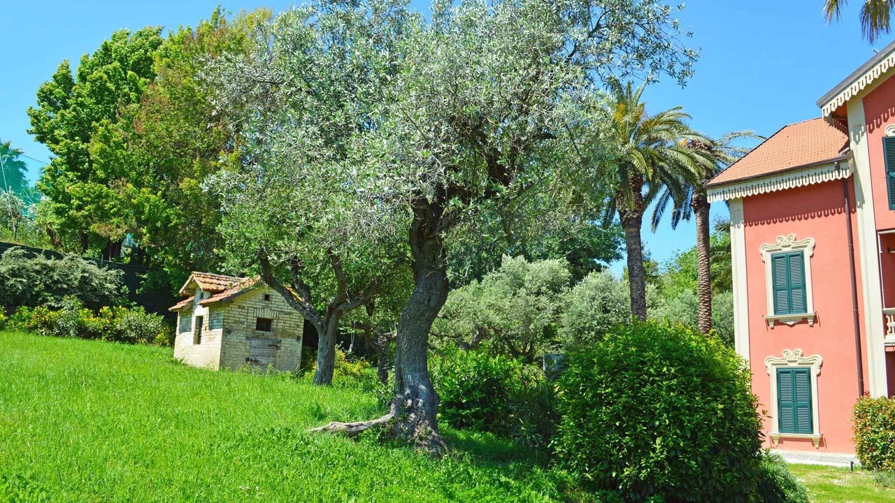 Photo of Outdoor in Silvi