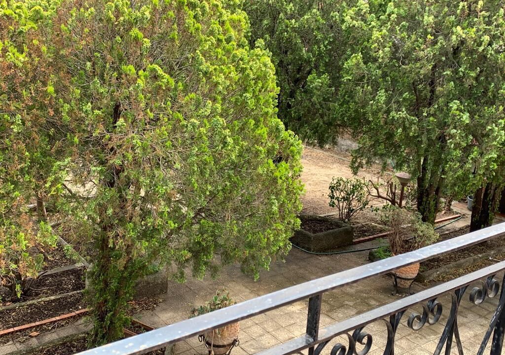 Photo of Outdoor in Mortelle