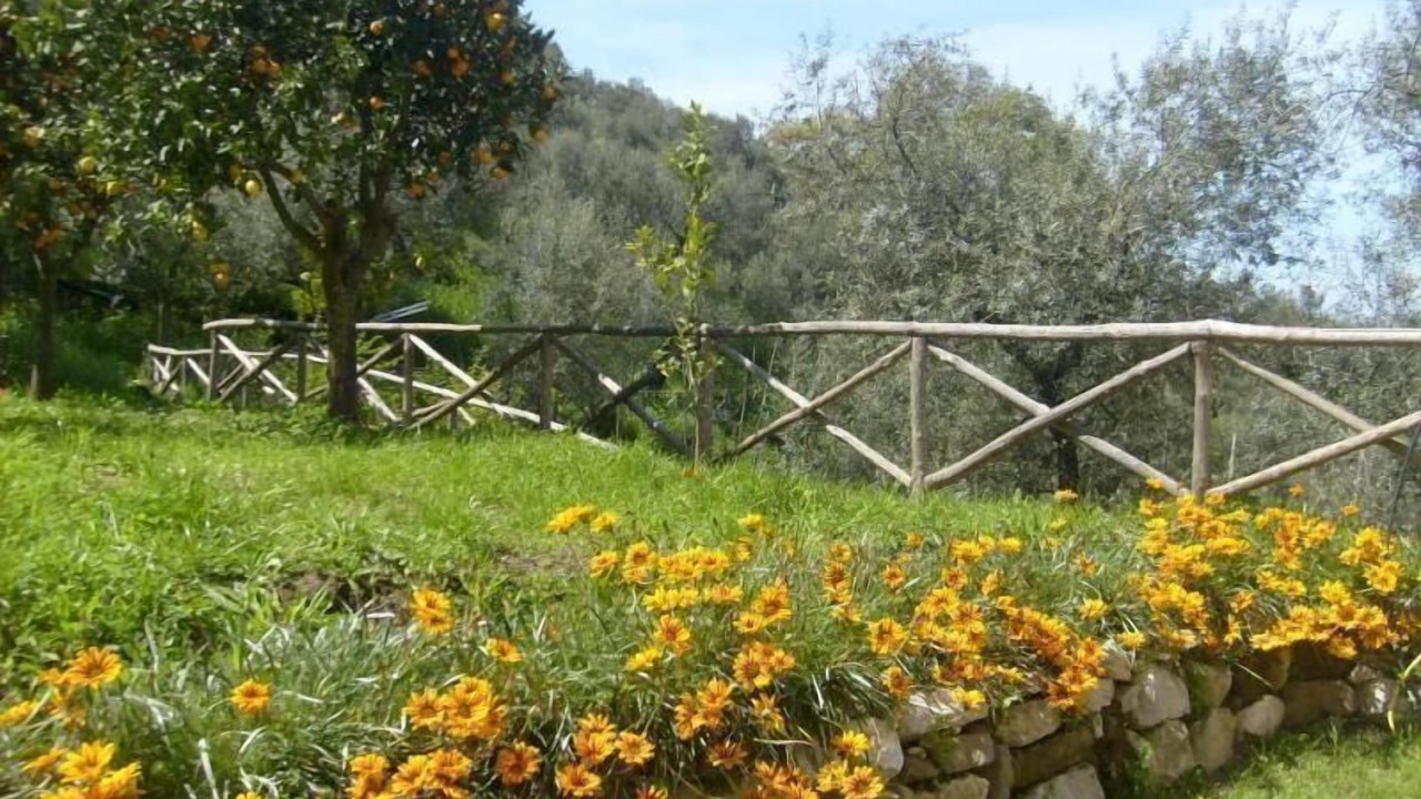 Photo of Outdoor in Colli di Fontanelle
