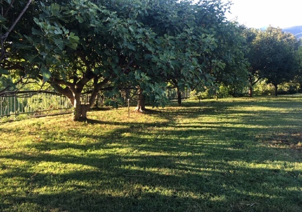 Photo of Outdoor in Rapino