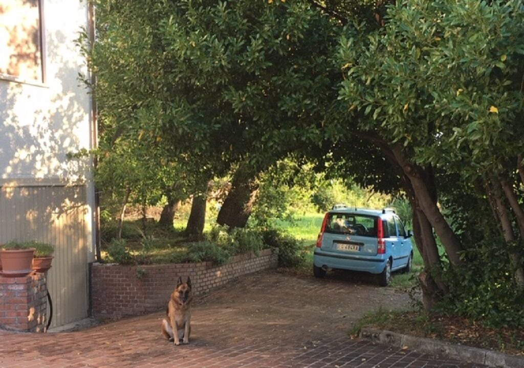 Photo of Outdoor in Rapino