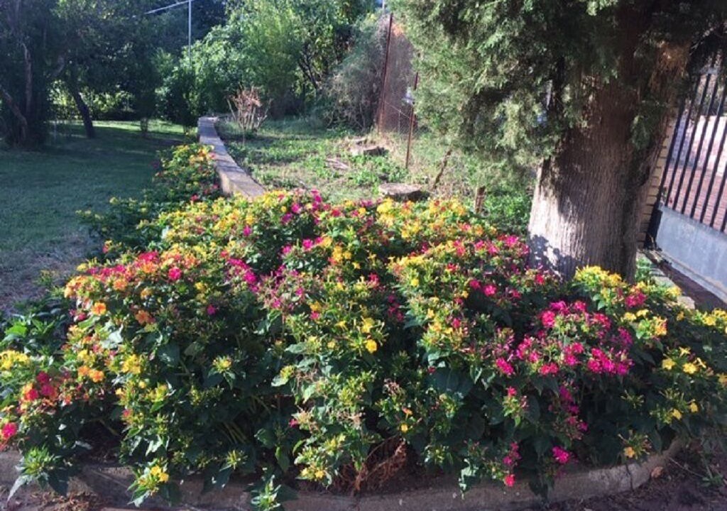 Photo of Outdoor in Rapino