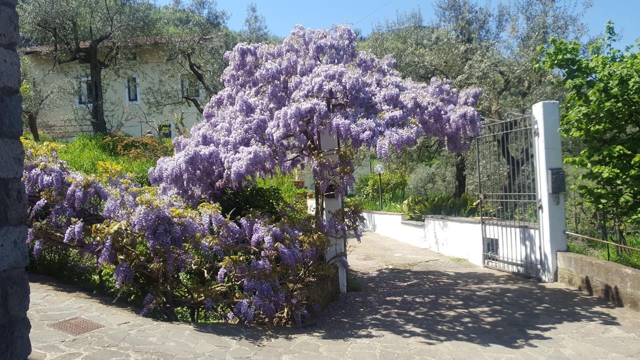 Photo of Others in Colli di Fontanelle