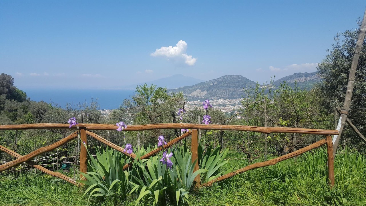Photo of Outdoor in Colli di Fontanelle
