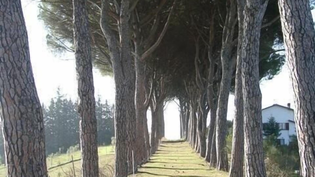 Photo of Outdoor in Ramazzano