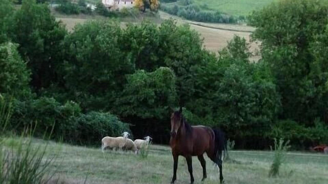 Photo of Outdoor in Ramazzano