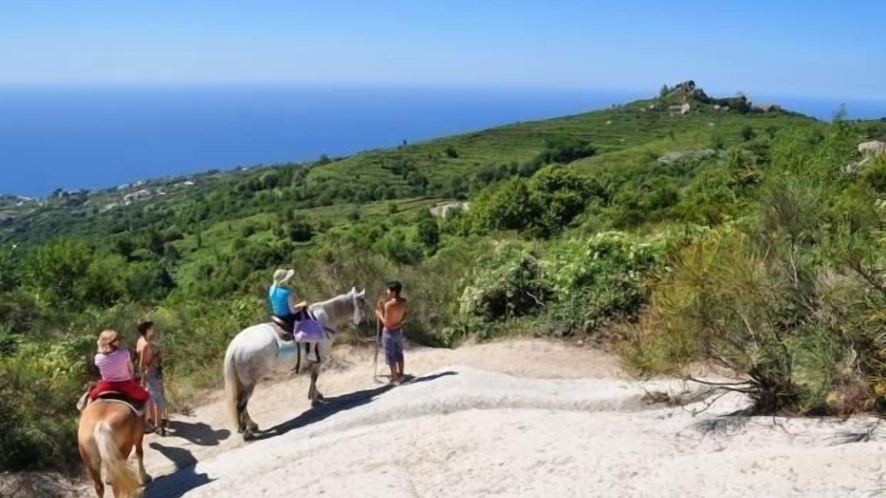 Photo of Others in Barano d'Ischia