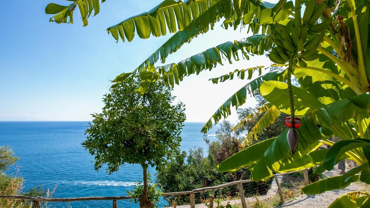 Photo of Outdoor in Pogerola