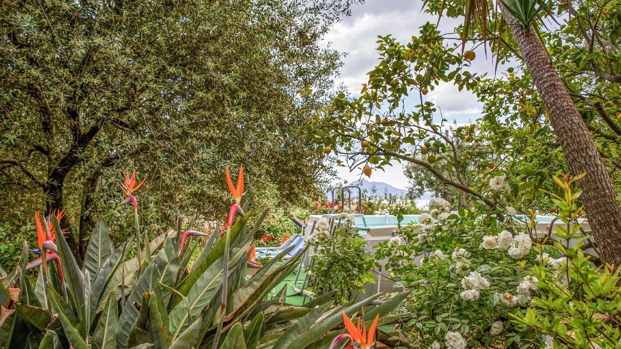 Photo of Outdoor in Schiazzano