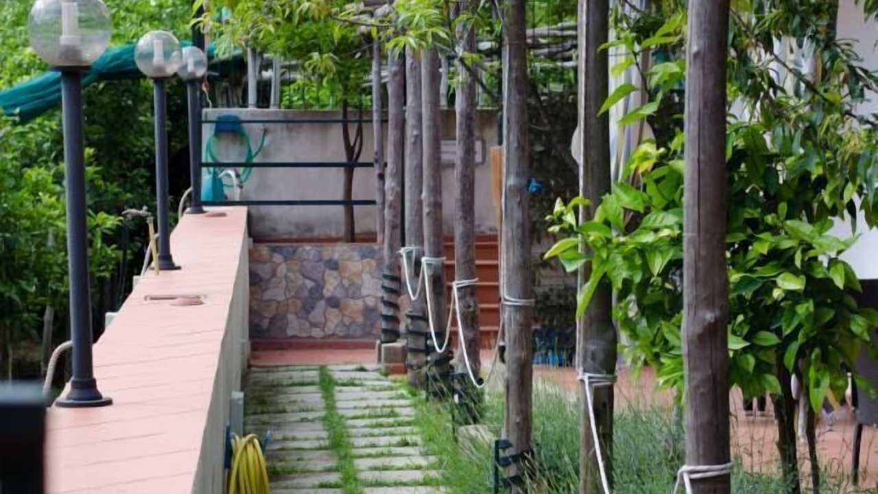 Photo of Outdoor in Minori