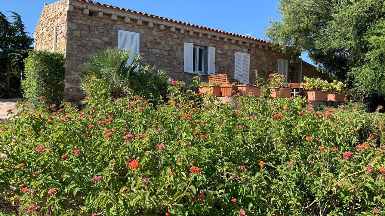 Photo of Outdoor in San Pasquale