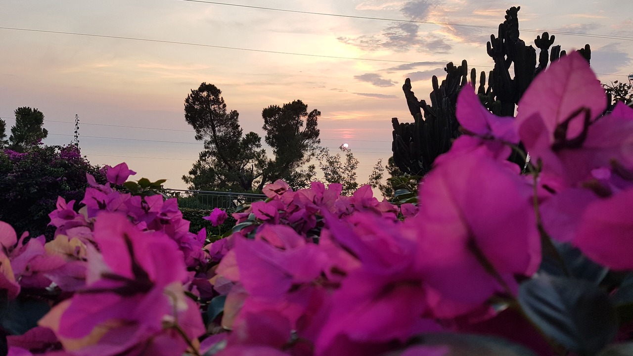 Photo of Outdoor in San Nicola Arcella