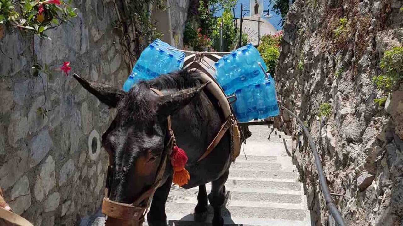 Photo of Others in Nocelle